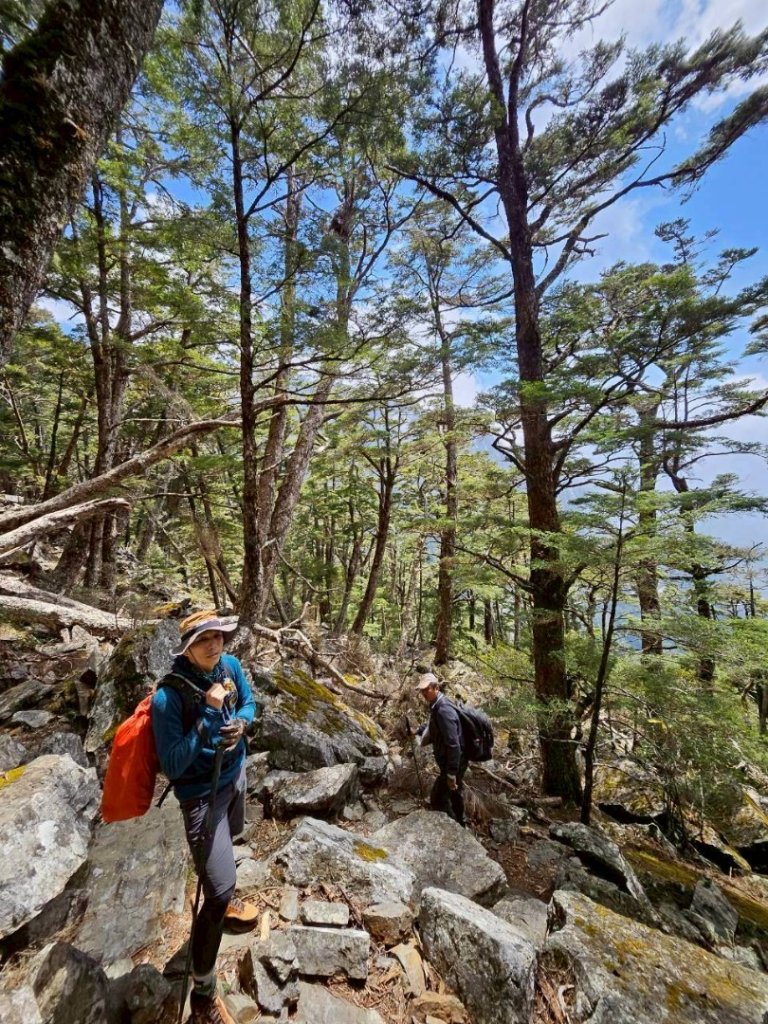 20260320四個毆鷄桑🦸‍♀️南橫溪頭山O繞關山嶺山_3022702