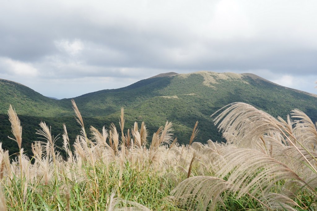 新北 萬里 鹿崛坪山、富士坪山、大尖山_2353397