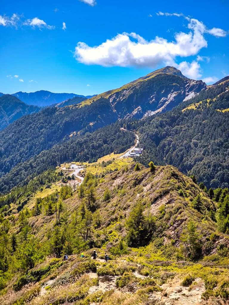2025-11-07 合歡北峰、小溪營地、鷹石尖、北峰名樹_2934330