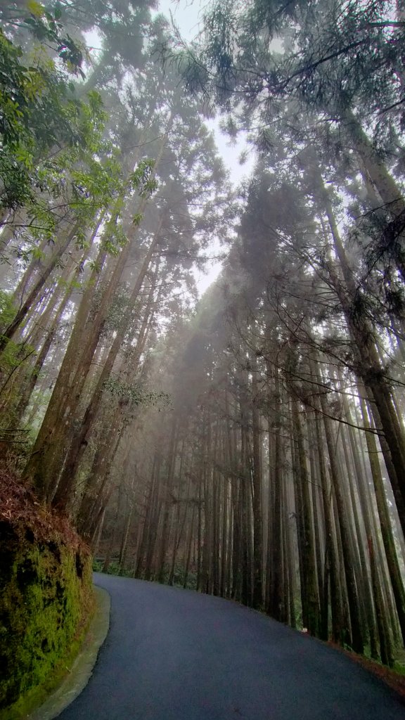 杉林溪一日遊_1661508