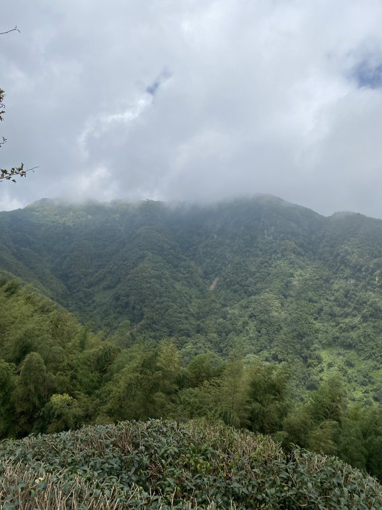 溪頭山竹崙山志騰山封面圖