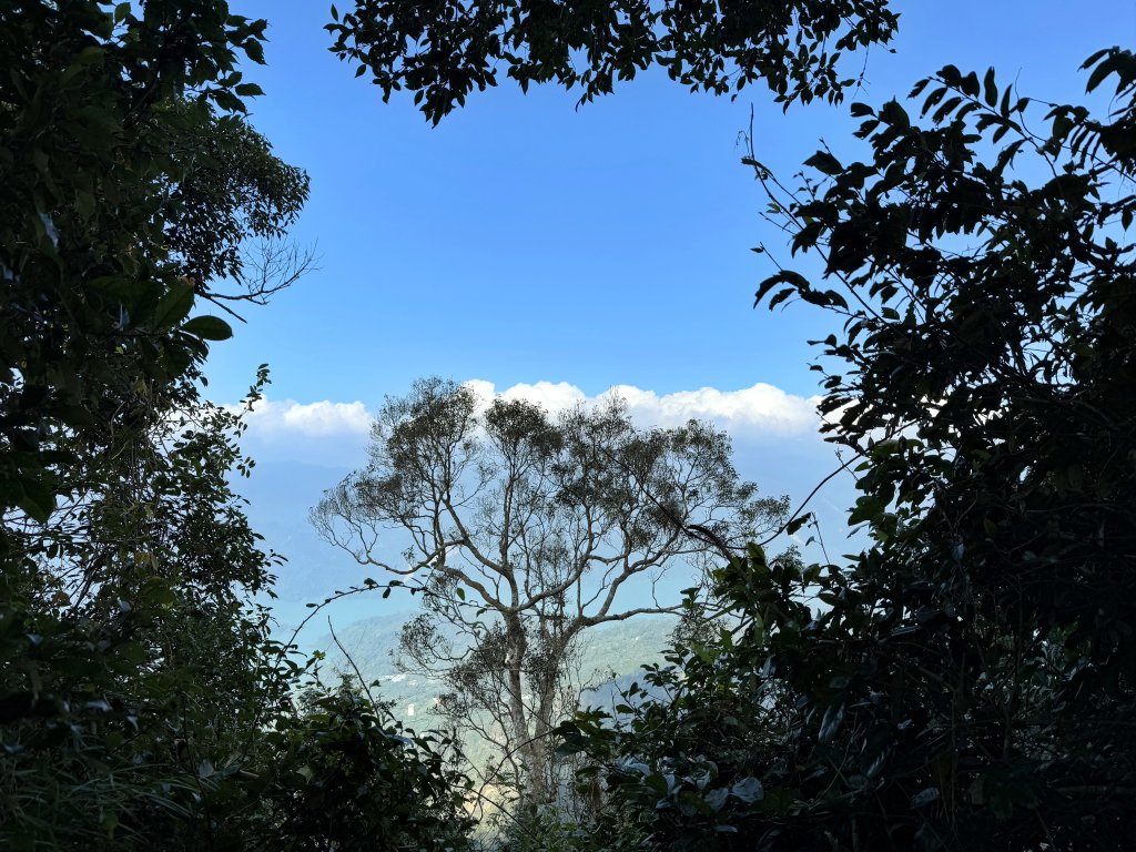 三腳南山+紅毛埤山 20241229_2680803