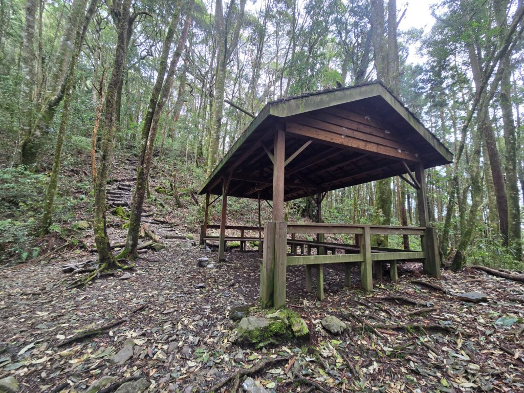 谷關七熊馬崙山_2748796