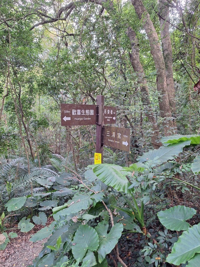 桃源里森林步道+龍鳳谷步道+坑子內山20250906_2880236