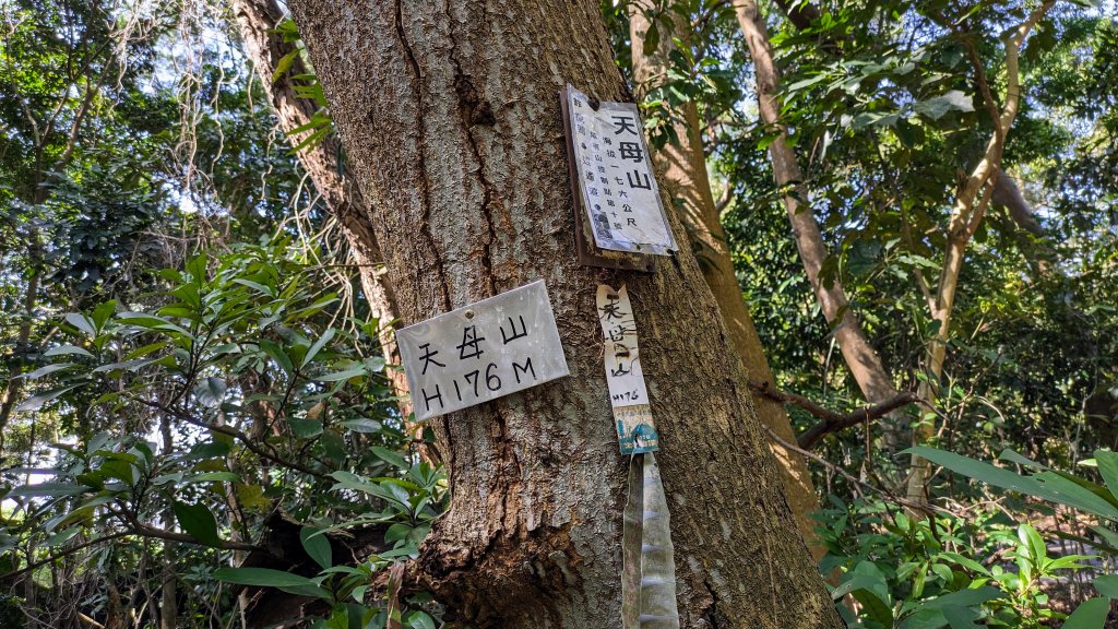 天母古道,天母山步道_2450990