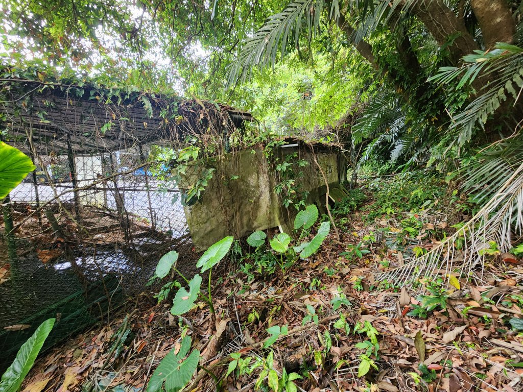 20250419蕩跋山劉家界山老社寮山新富山_2936208