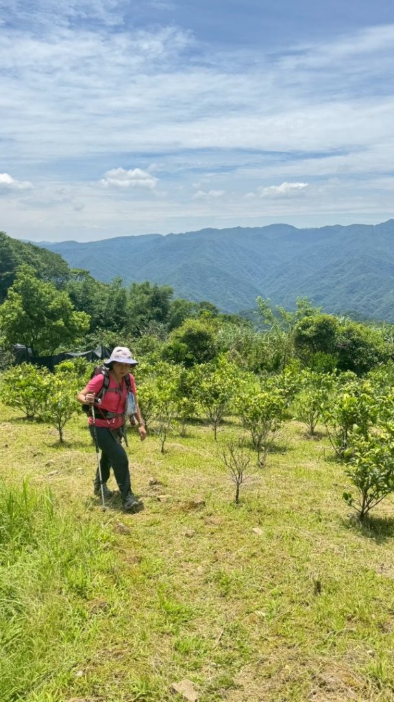 南勢坑山、鑽石峰、人面頭山、獅公髻尾山O走_2809798