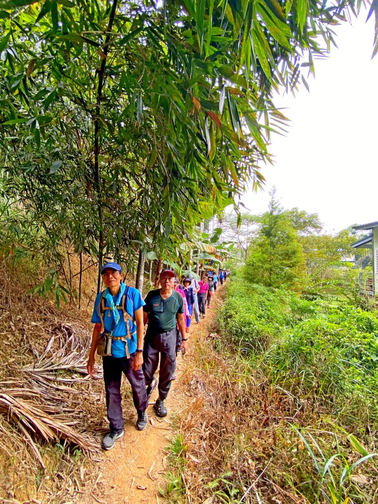 再訪澀水步道    2020/10/25_1144019