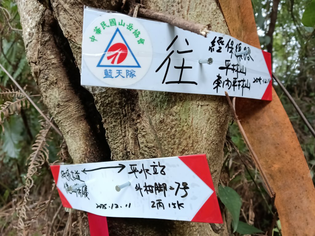 雙溪區彎穹平林山+平湖東步道+紙坑古道(億山煤礦)+紙坑山出平水聚落O型_2965909