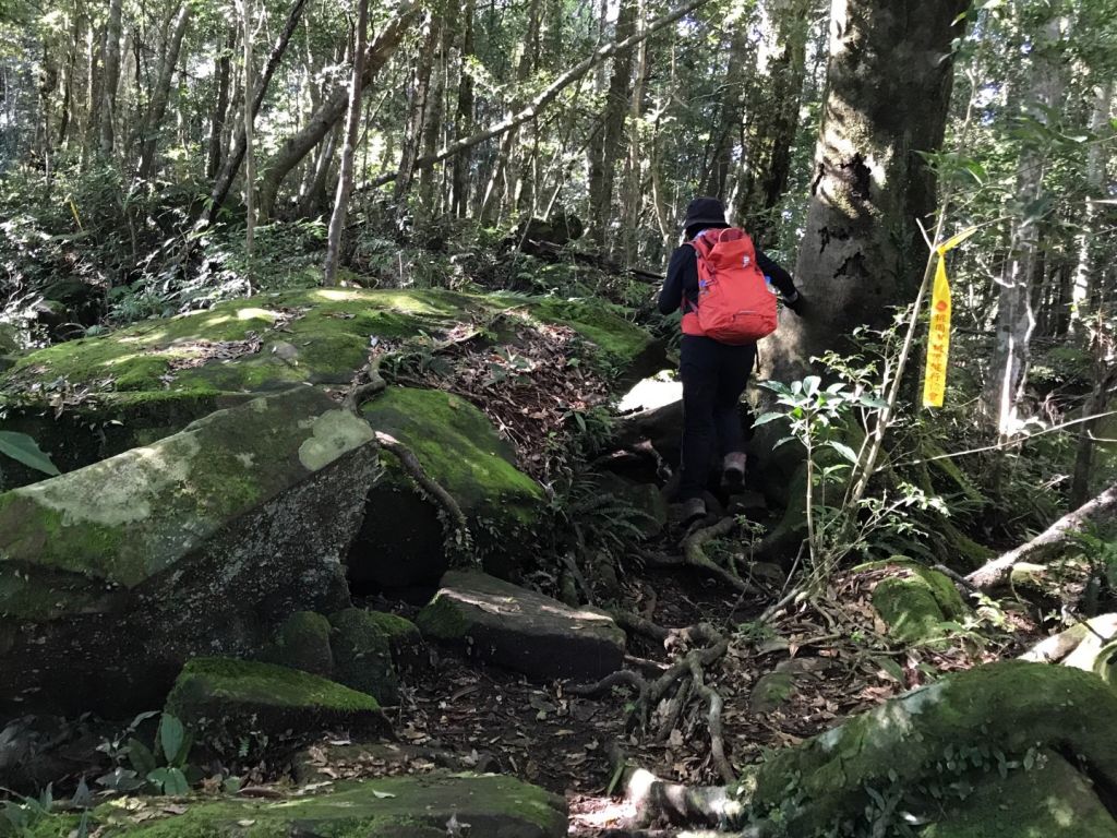 大混山連走李崠山_397882