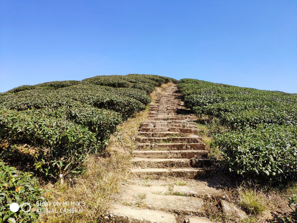 梨子腳山_525013