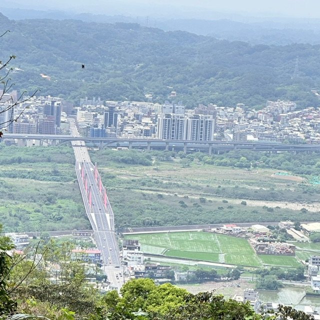 飛鳳山、中坑山、大阪根、賞血藤花O走_2542559