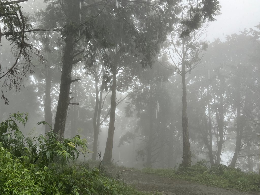 百不一遇-小關山神池封面圖