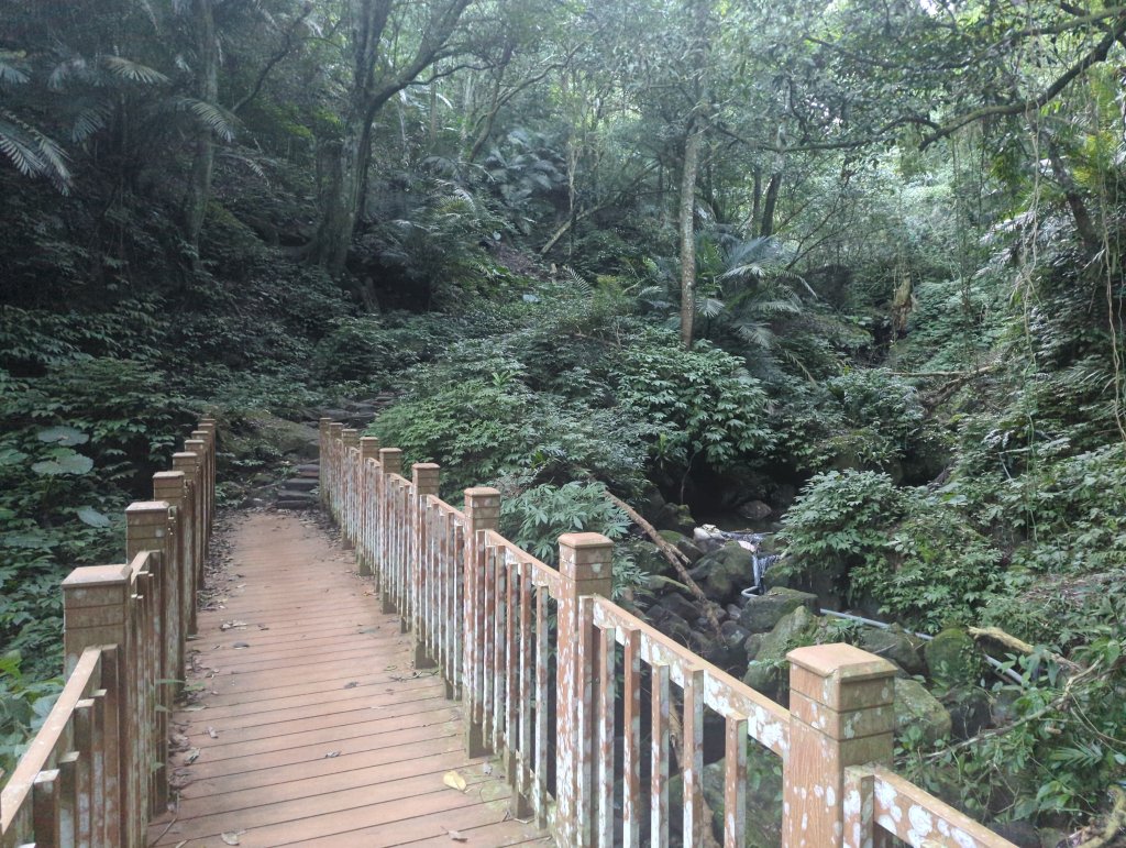 2025.11.15－鳴鳳古道_2943020