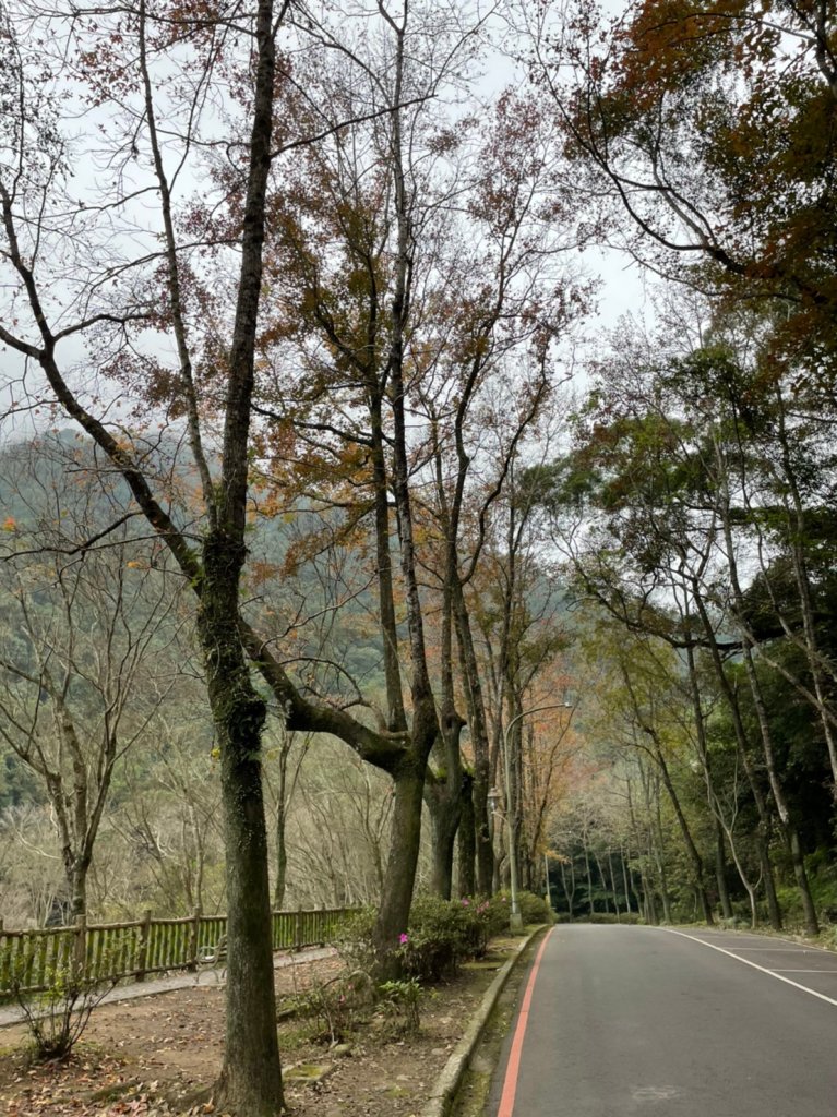 雙石緃走(石牛山至石門山)_1584471