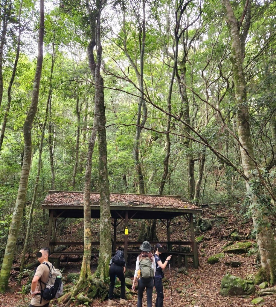 【中級山】五星級步道，谷關七雄馬崙山（八壯士進，斯可巴出）_2744953