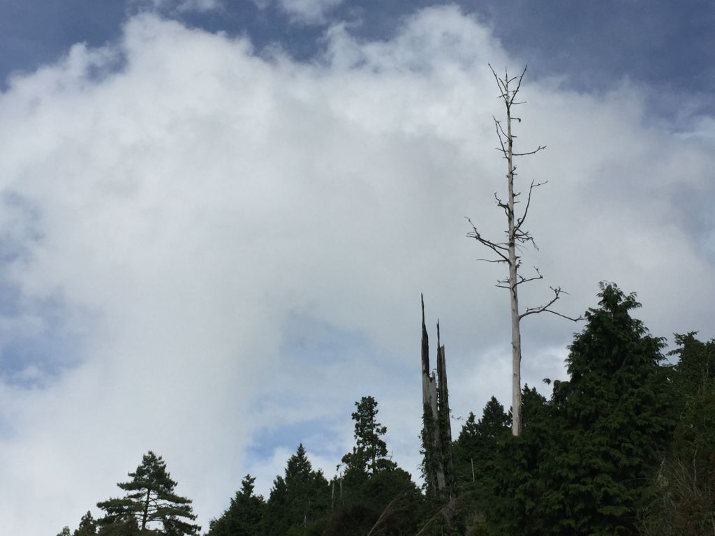 加羅湖-加羅山-偉蛋池-檜木池-_140153