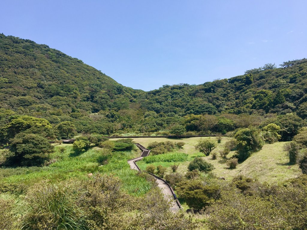 大好青空綠地封面圖