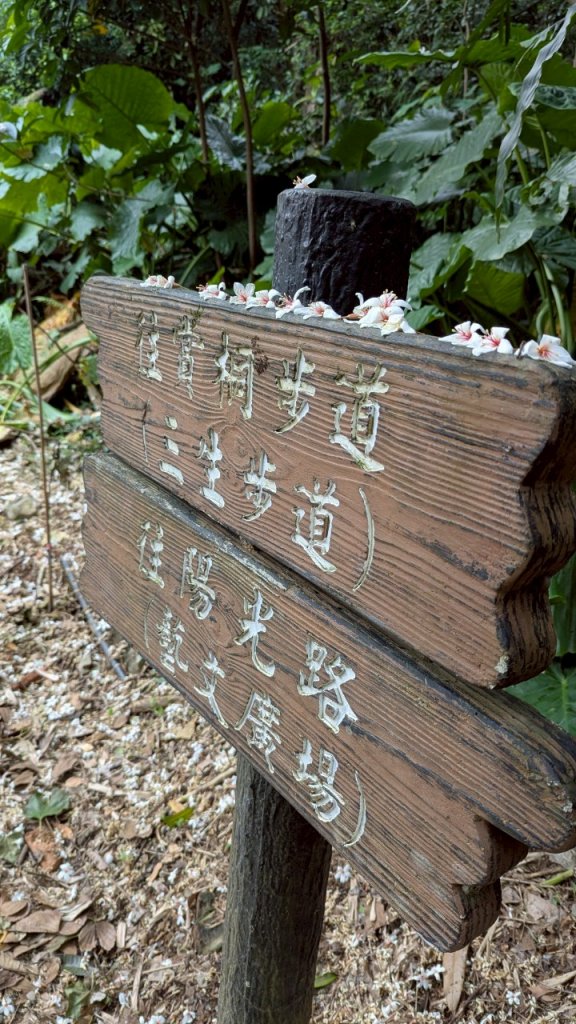 114.05.04三芝桐花步道-百年田梯步道-大鵬足湯公園_2779888