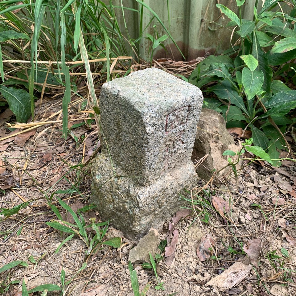 20231111台南烏山縱走_2354243