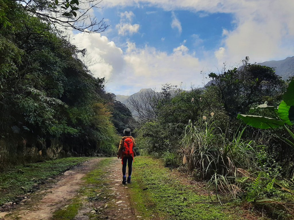 陽明山神秘綠境 • 鹿角坑保護區_2038562