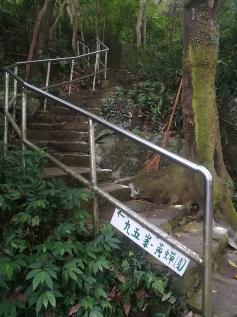 小百岳013號～南港山，幾乎整路爬樓梯，不怕樓梯者限定_1348532