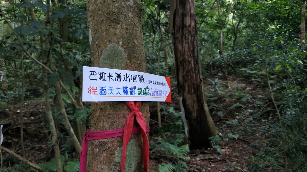 ✅興福寮/巴拉卡舊水管路-開墾地遺址 (全段擴徑增繩.重整完成)封面圖