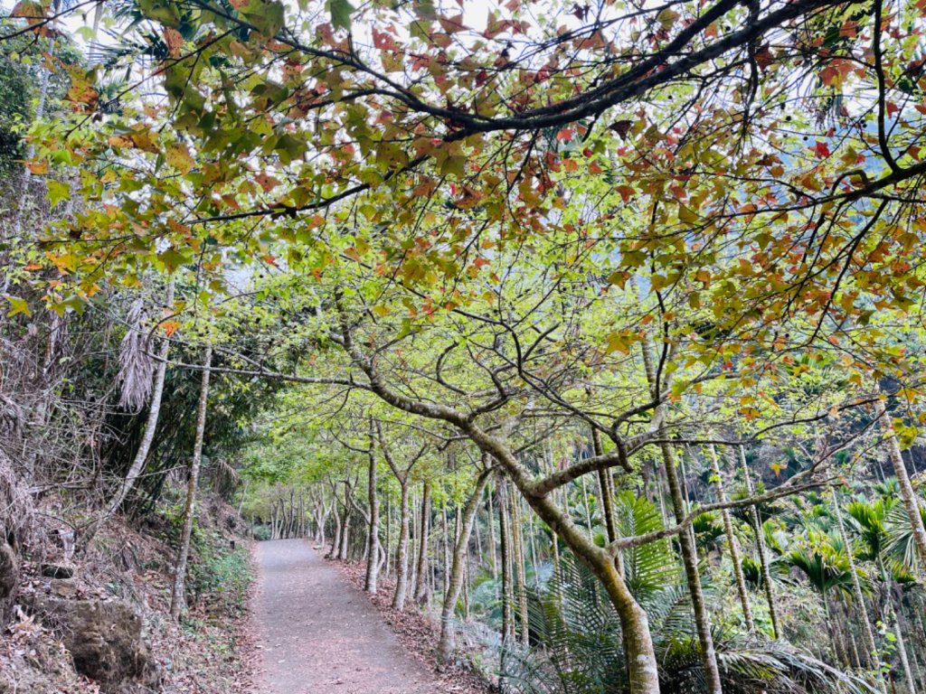 1120225關仔嶺 雞籠山_2042087