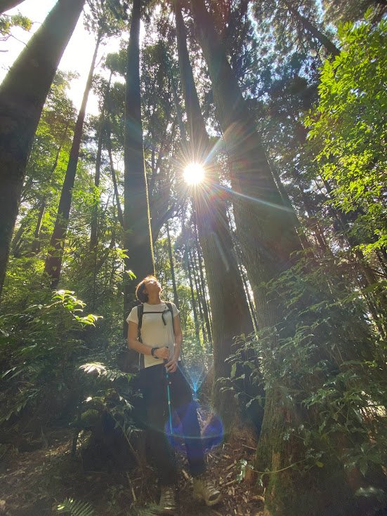 苗栗_大坪出發~杜鵑嶺/加里山_1485839