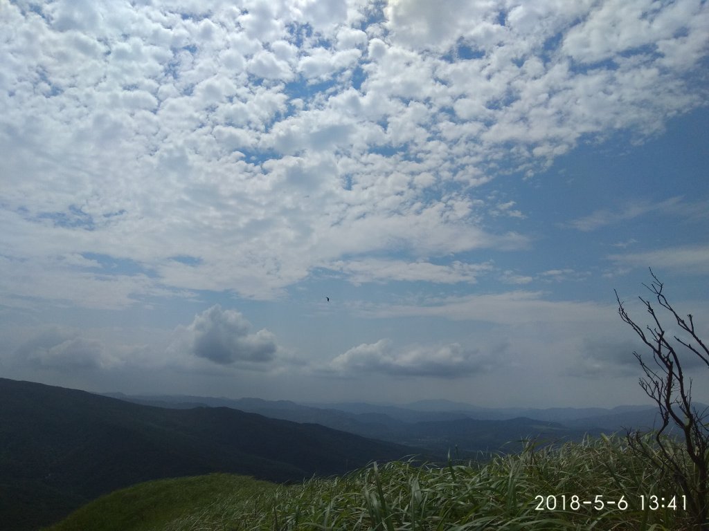雪山尾稜北段 107.05.06(日)_454369