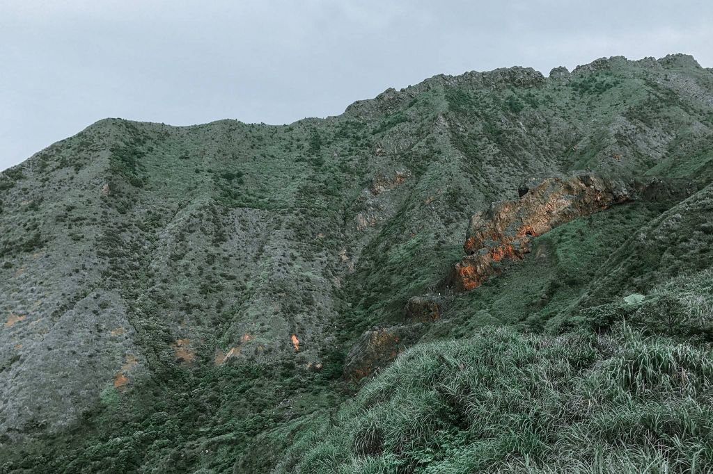 無耳茶壺山封面圖