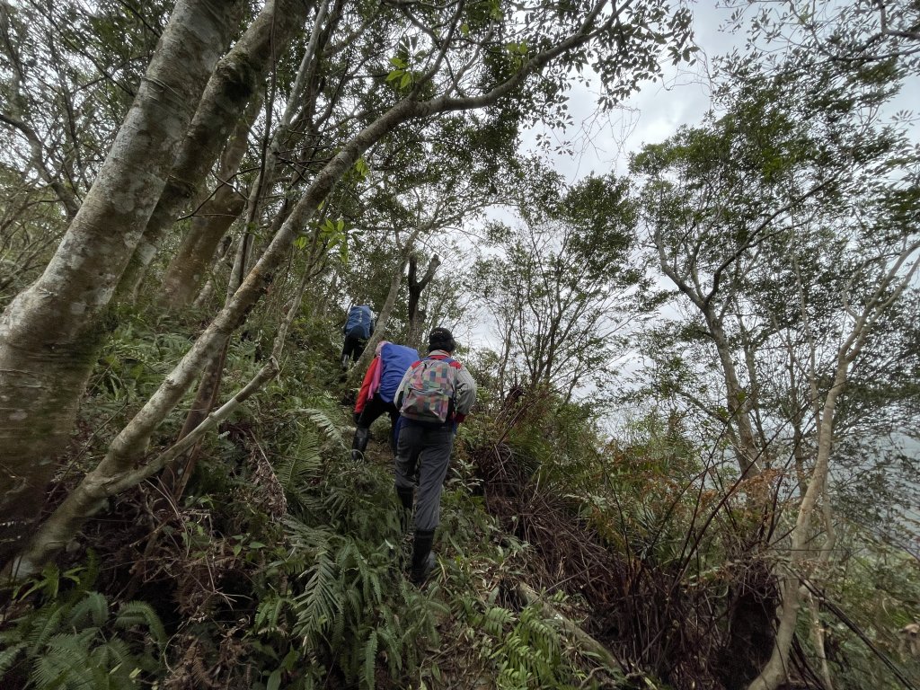 坪林烏窟子山_2685882