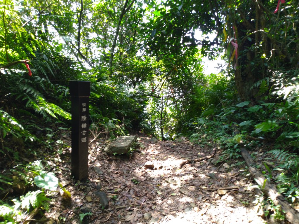 淡蘭古道之嶐嶺古道+舊草嶺隧道O型封面圖