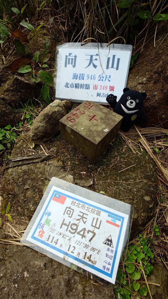 20260125 陽明山前後山健行(無極天元宮~山仔頂步道.向天池.向天山.面天山.二子坪)_2998011