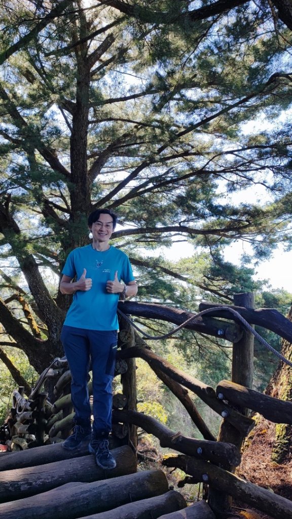 大坑五號步道、5-1號步道、頭嵙山_2668171