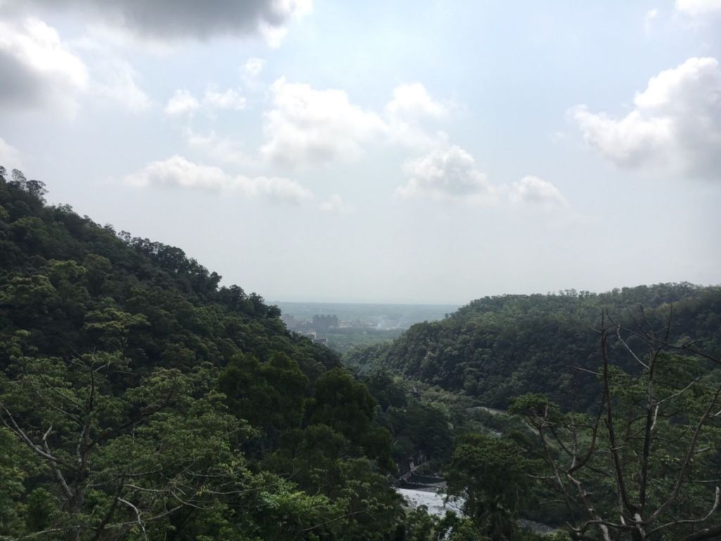 聖母山莊步道_303962