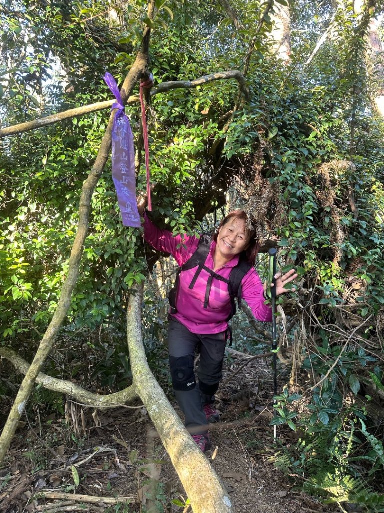 南投縣信義鄉二坪山步道_2690552