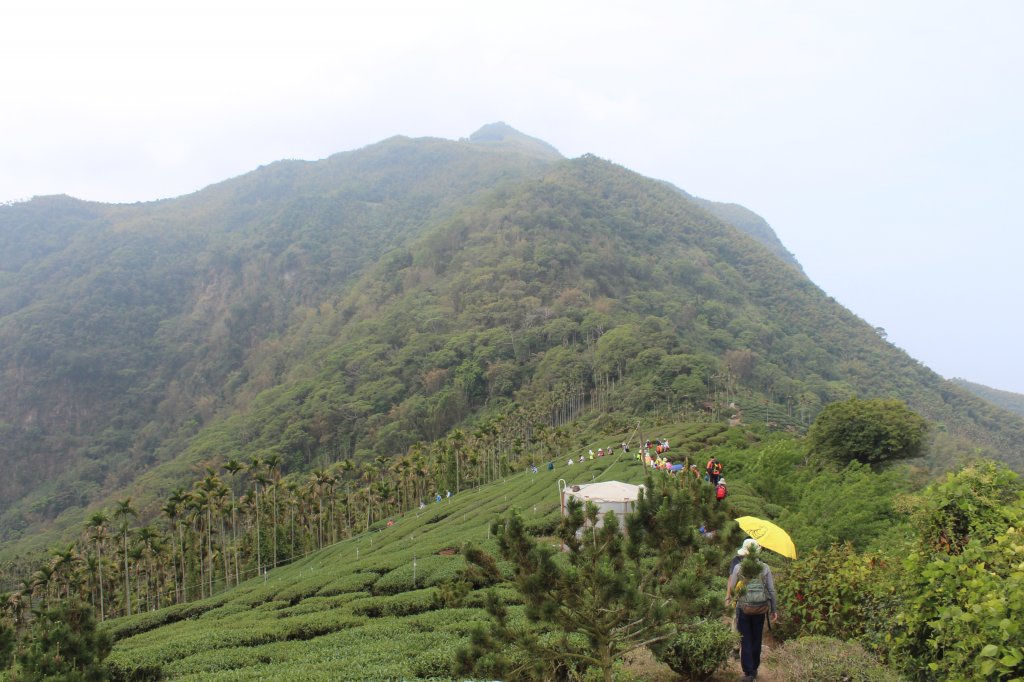 20210417雲林後棟仔山大尖二尖山_1358858