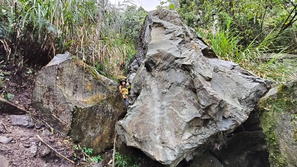 神阿縱走~台灣難抵極~大塔山_2971410