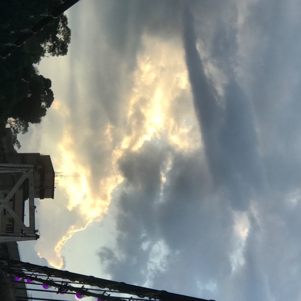 走路趣尋寶：碧潭風景區（東岸廣場）_2246212