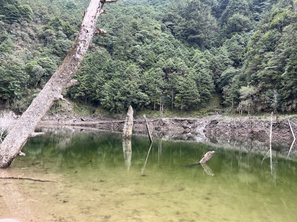 小關山林道神池營地20231022_2326107