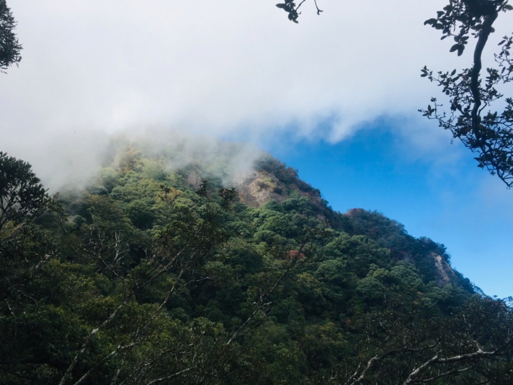 哈加O型走收穫滿滿🈵️_1924241