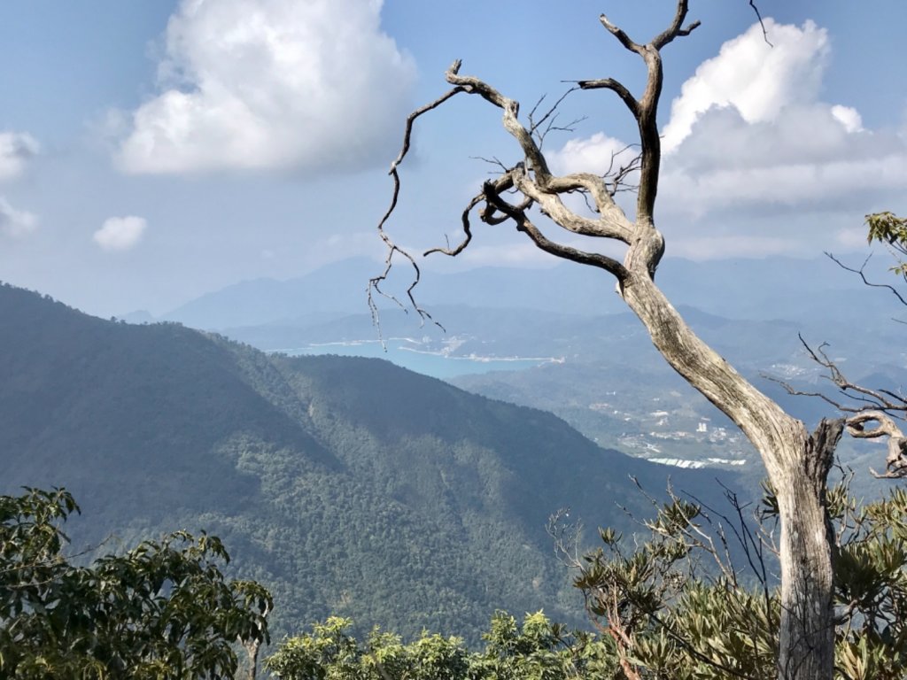 魚池大尖山森與竹的饗宴_1274832