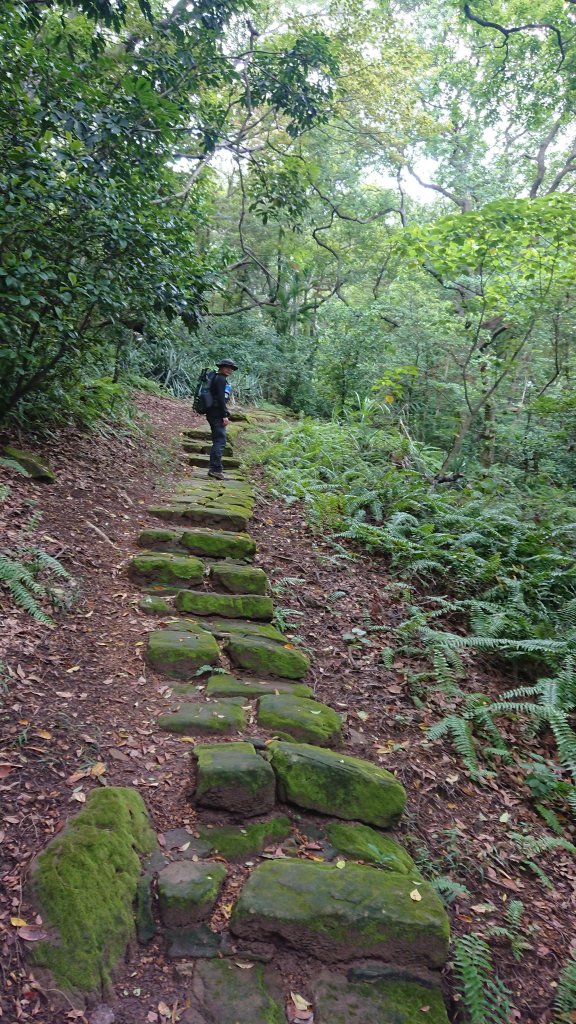 連爬9山-東華山到丹鳳山連走_426650