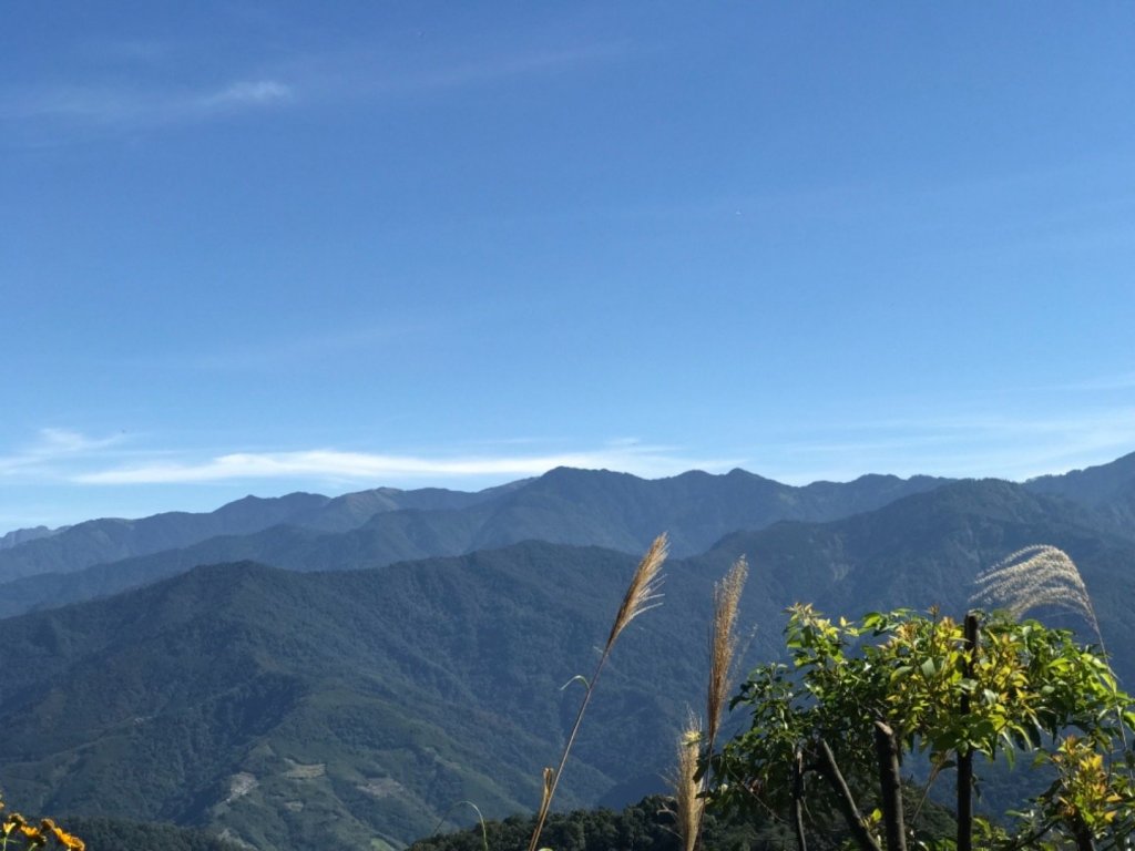 細道邦山 馬那邦山_464902
