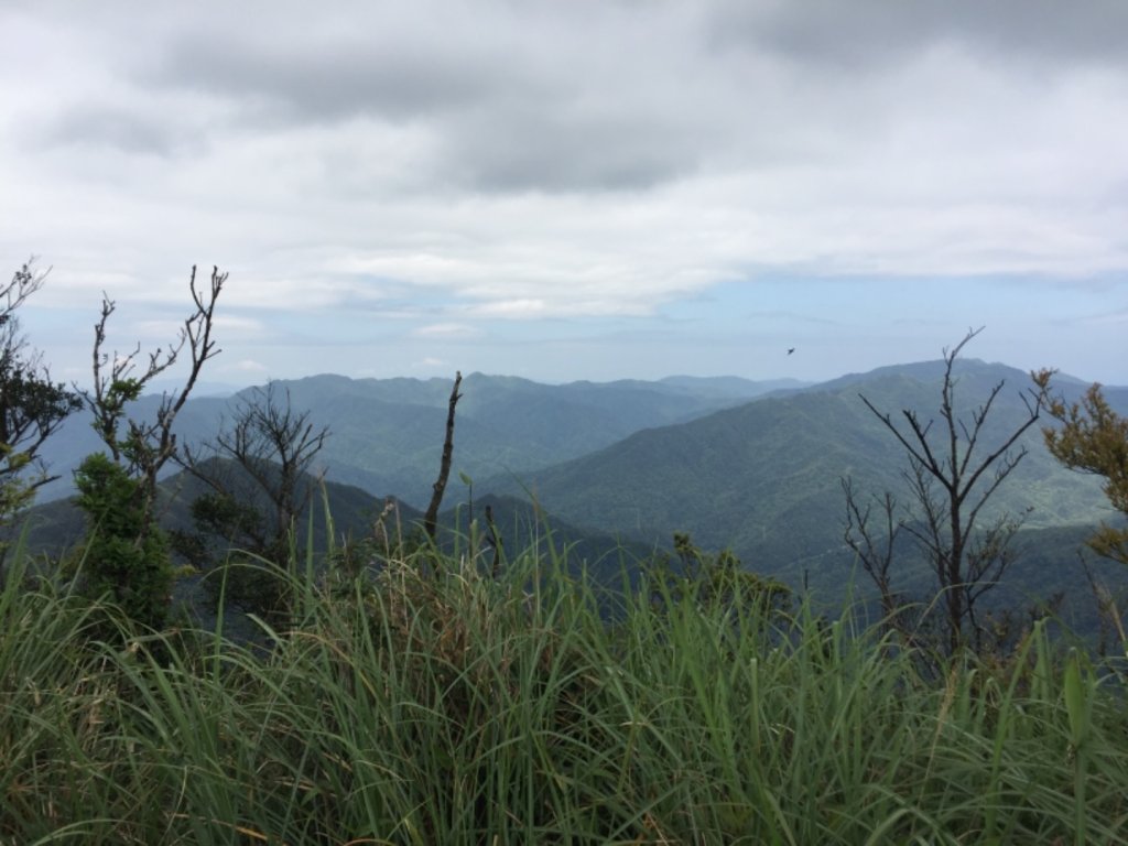 抹茶山&三角崙山_566998