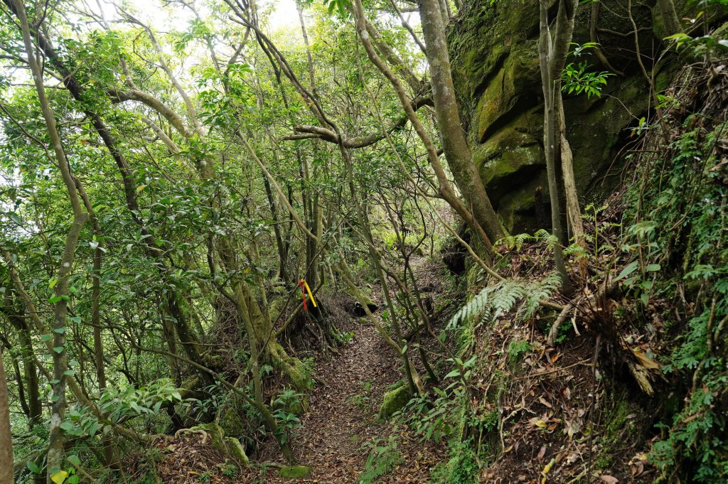 新北 平溪 峰頭尖_2779566