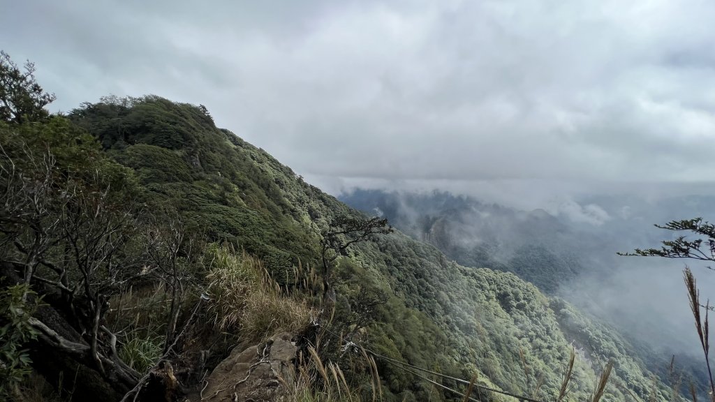 加里山 大坪登山口 杜鵑嶺 加里山P形_1901021
