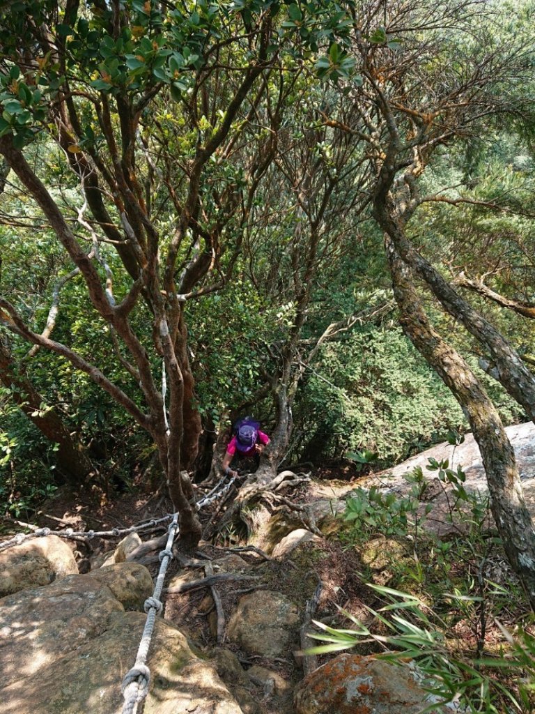 那結山（嘎色鬧部落線）_893427