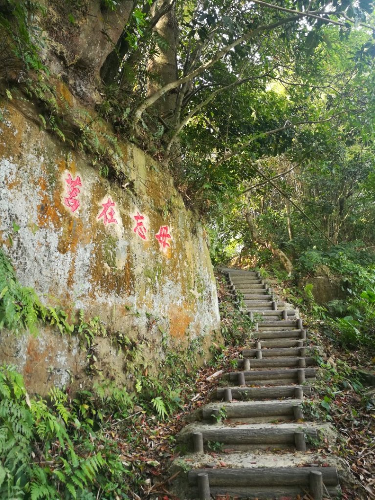 劍潭山小散步·見識沙塵暴下的台北市_1356892